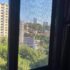 Bebek Sineklik